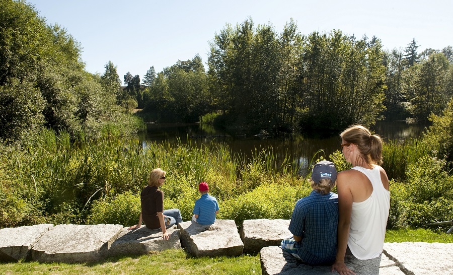 Hastings Park - Sanctuary- Vancouver, BC